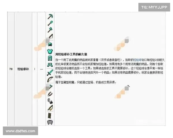 提升装备附魔技艺效率的实用技巧与方法分析 提升装备附魔技艺效率的实用技巧与方法分析