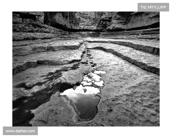 伊瓦尔德废墟探秘:揭开历史遗迹与神秘力量交织的面纱 伊瓦尔德废墟探秘:揭开历史遗迹与神秘力量交织的面纱