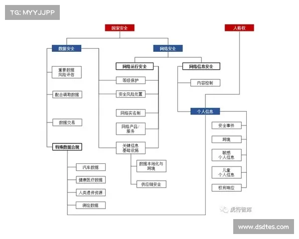 购买枪械与其他武器的五大安全注意事项、法律合规及责任提示指南