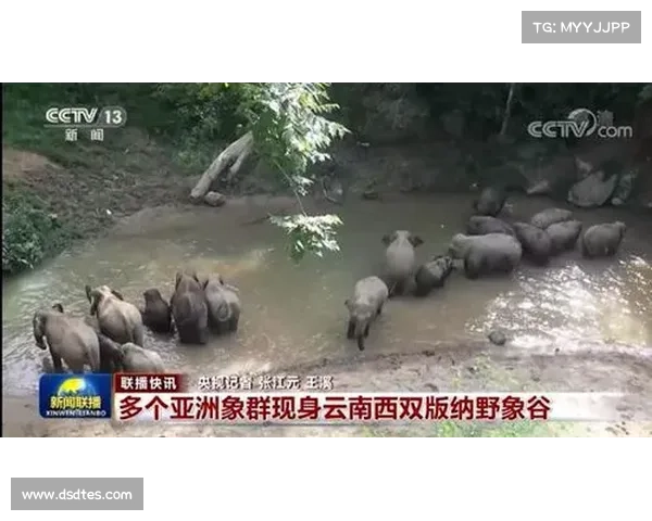 揭秘西甲2016年金靴荣耀背后的奋斗历程与传奇故事