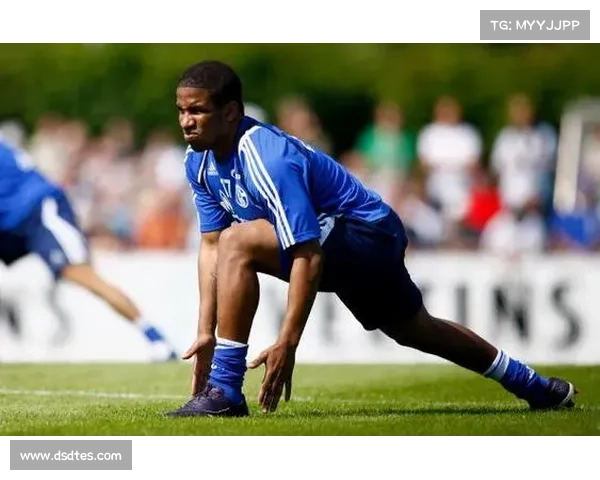 法尔范在沙尔克04的核心角色与场上位置解析及其战术影响