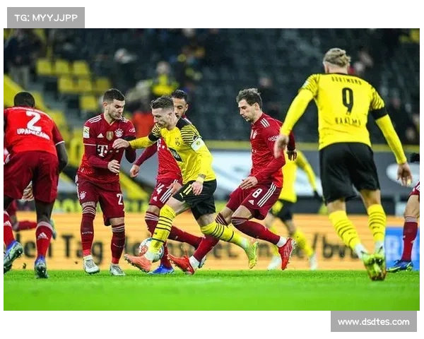 德甲联赛深度解析：解读德国足球各大派系与激烈竞争格局