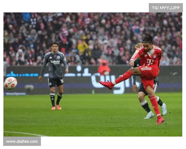 拜仁慕尼黑与德甲格局的五大关键因素解析及未来发展趋势