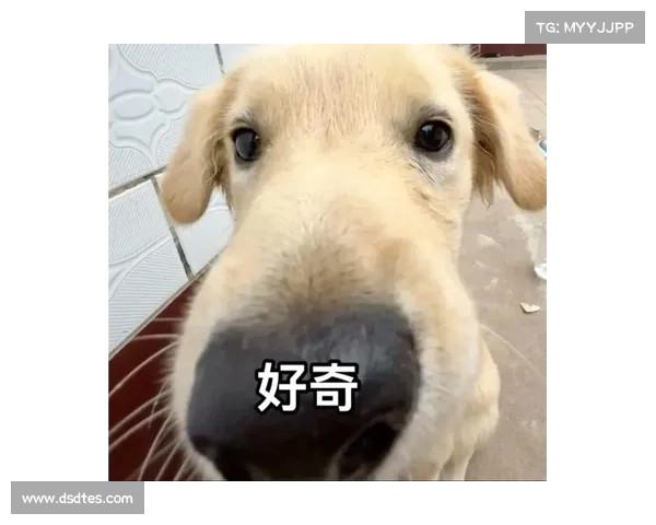 探索11-11表情包的创意玩法与分享技巧全解析